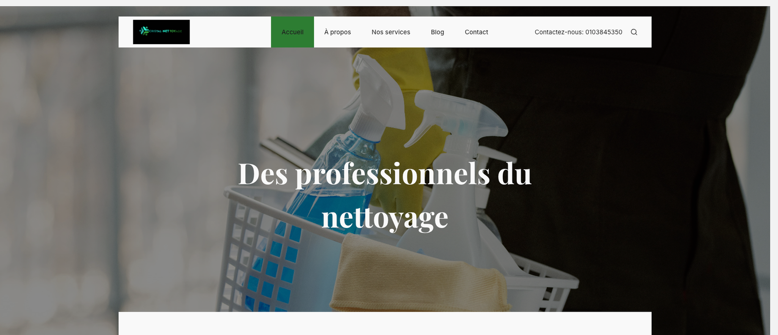 Spécialiste du nettoyage à domicile et professionnel