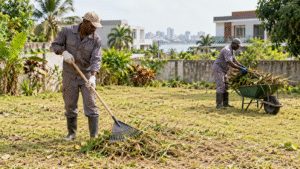 Société de débroussaillage à Abidjan